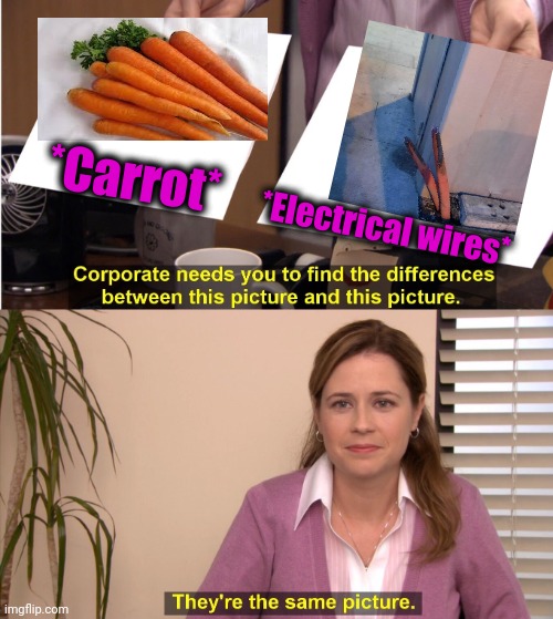 -Not for the eat. | *Carrot*; *Electrical wires* | image tagged in memes,they're the same picture,carrot topp,electrical,the wire,copy | made w/ Imgflip meme maker