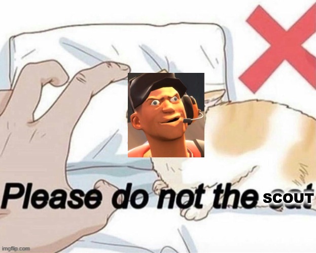 do not le scout | SCOUT | image tagged in tf2 | made w/ Imgflip meme maker