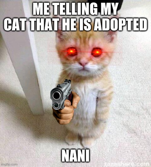 Cute Cat | ME TELLING MY CAT THAT HE IS ADOPTED; NANI | image tagged in memes,cute cat | made w/ Imgflip meme maker