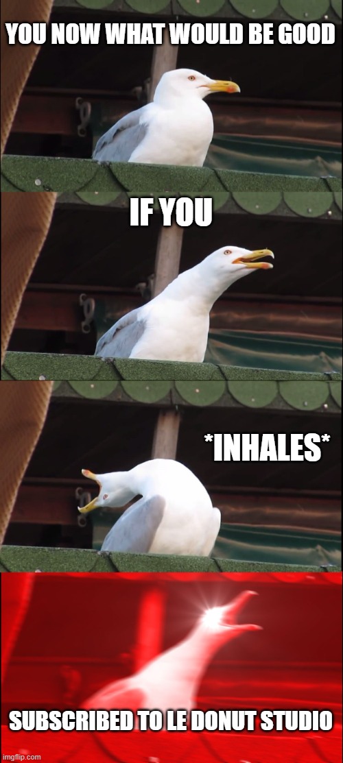 Inhaling Seagull | YOU NOW WHAT WOULD BE GOOD; IF YOU; *INHALES*; SUBSCRIBED TO LE DONUT STUDIO | image tagged in memes,inhaling seagull | made w/ Imgflip meme maker