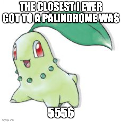 Chikorita | THE CLOSEST I EVER GOT TO A PALINDROME WAS 5556 | image tagged in chikorita | made w/ Imgflip meme maker