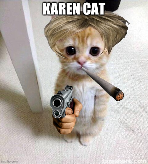 karen cat | KAREN CAT | image tagged in memes,cute cat | made w/ Imgflip meme maker