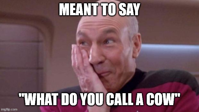 picard oops | MEANT TO SAY "WHAT DO YOU CALL A COW" | image tagged in picard oops | made w/ Imgflip meme maker