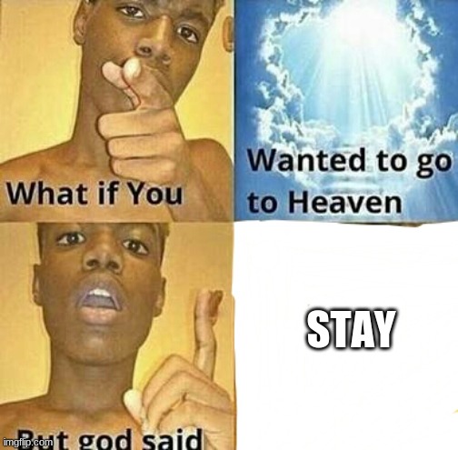 What if you wanted to go to Heaven | STAY | image tagged in what if you wanted to go to heaven | made w/ Imgflip meme maker
