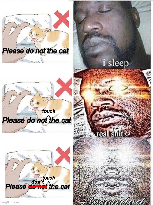 Memers when you ruin a template | image tagged in i sleep meme with ascended template,please do not the cat,my dissapointment is immeasurable and my day is ruined,template | made w/ Imgflip meme maker