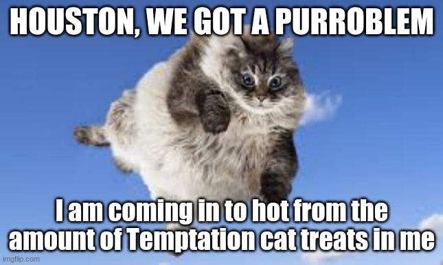 Cat Meme's | HOUSTON, WE GOT A PURROBLEM; I am coming in to hot from the amount of Temptation cat treats in me | image tagged in funny cat memes | made w/ Imgflip meme maker