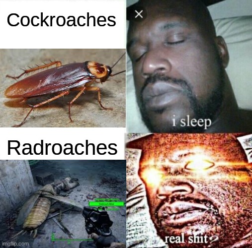 Sleeping Shaq Meme | Cockroaches; Radroaches | image tagged in memes,sleeping shaq | made w/ Imgflip meme maker
