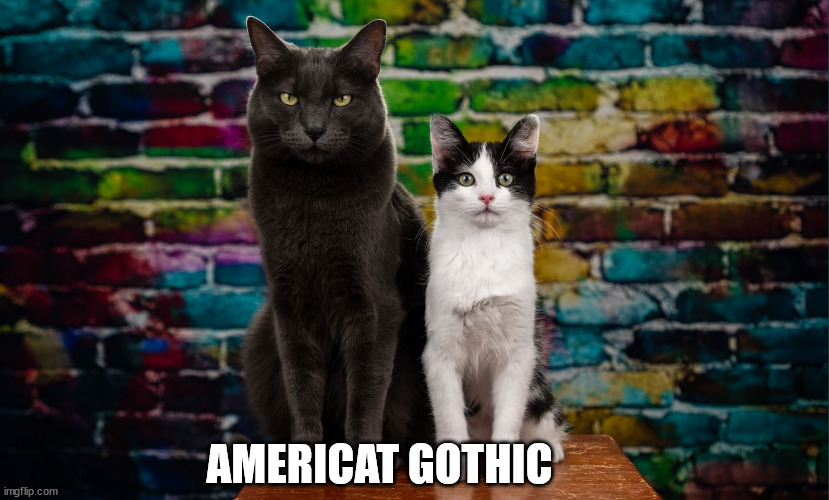 American Gothic...feline style! | AMERICAT GOTHIC | image tagged in kittenacademy,lolcats,connecticats | made w/ Imgflip meme maker