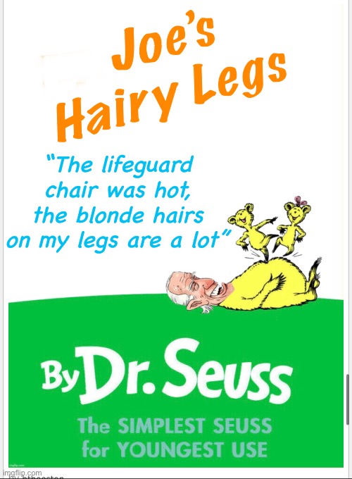 Banned books | Joe’s Hairy Legs; “The lifeguard chair was hot,
the blonde hairs on my legs are a lot” | image tagged in joe biden,memes,politics lol | made w/ Imgflip meme maker