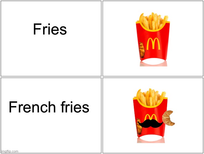 Fries in America and France | Fries; French fries | image tagged in memes,blank comic panel 2x2 | made w/ Imgflip meme maker