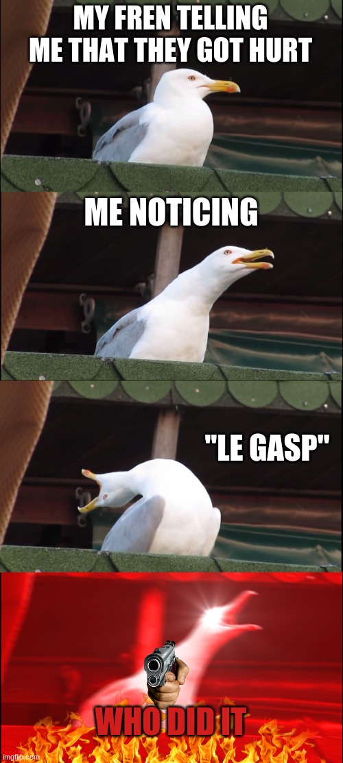 Inhaling Seagull | MY FREN TELLING ME THAT THEY GOT HURT; ME NOTICING; "LE GASP"; WHO DID IT | image tagged in memes,inhaling seagull | made w/ Imgflip meme maker