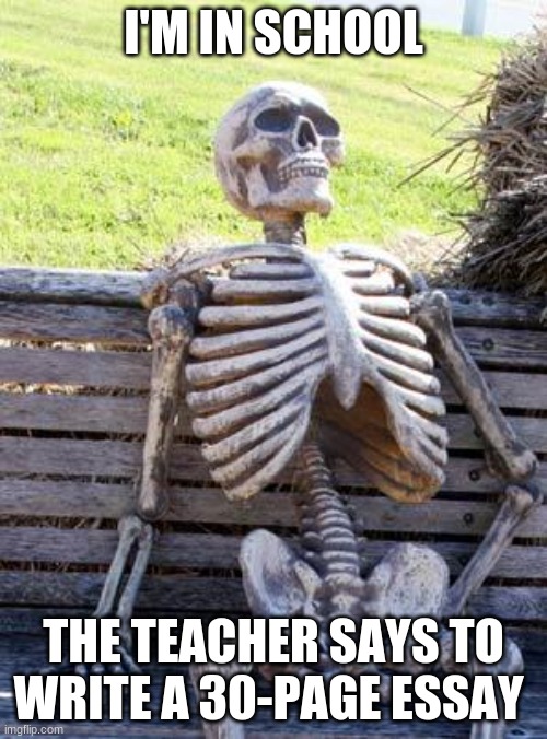 Da meme | I'M IN SCHOOL; THE TEACHER SAYS TO WRITE A 30-PAGE ESSAY | image tagged in memes,waiting skeleton | made w/ Imgflip meme maker