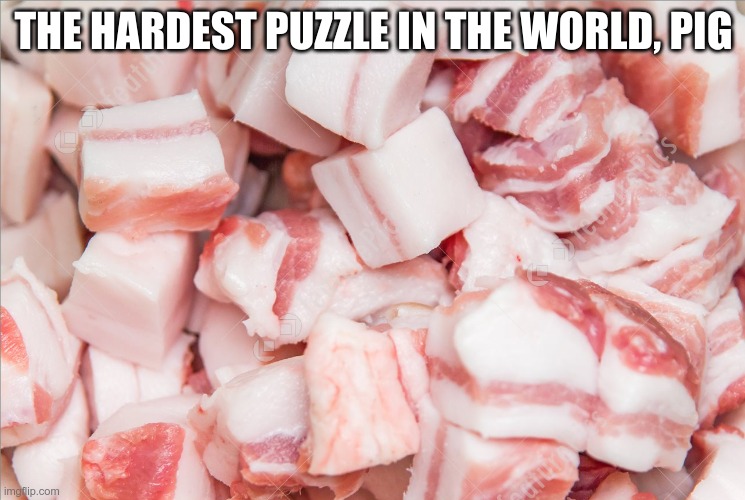 noo | THE HARDEST PUZZLE IN THE WORLD, PIG | image tagged in funny memes | made w/ Imgflip meme maker
