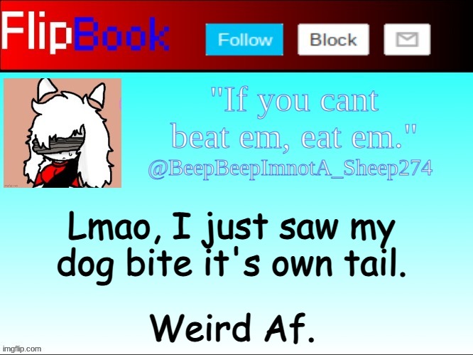 Swift Flipbook | Lmao, I just saw my dog bite it's own tail. Weird Af. | image tagged in swift flipbook | made w/ Imgflip meme maker