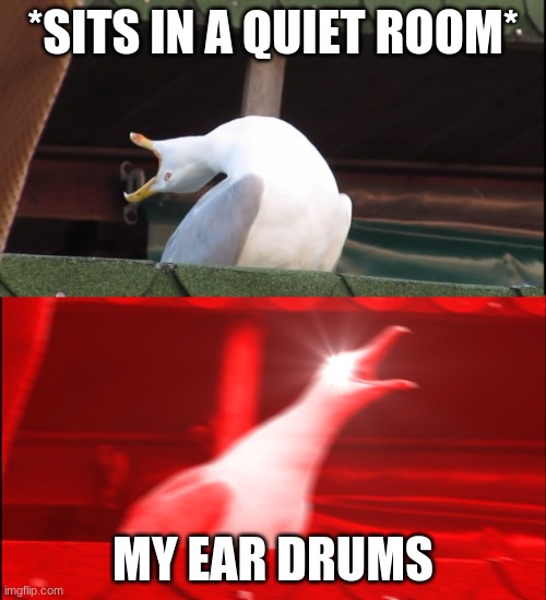 Screaming bird | *SITS IN A QUIET ROOM*; MY EAR DRUMS | image tagged in screaming bird | made w/ Imgflip meme maker