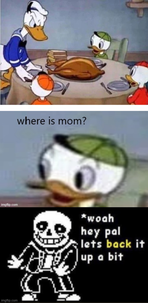 Hol up | image tagged in woah hey pal lets back it up a bit | made w/ Imgflip meme maker