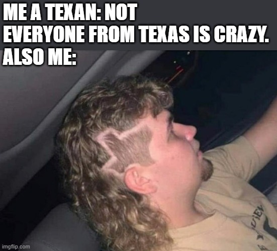 You can't out pizza the hut or out Texas a Texan |  ME A TEXAN: NOT EVERYONE FROM TEXAS IS CRAZY.
ALSO ME: | image tagged in texas,haircut | made w/ Imgflip meme maker