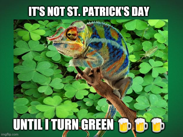 Happy St. Patrick's Day | IT'S NOT ST. PATRICK'S DAY; UNTIL I TURN GREEN 🍺🍺🍺 | image tagged in funny,chameleons,st patrick's day,green,irish,funny memes | made w/ Imgflip meme maker