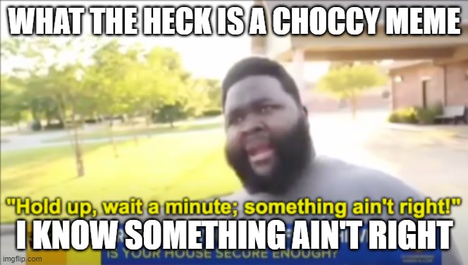 WHAT IS A CHOCCY MEME?!?!?!? | WHAT THE HECK IS A CHOCCY MEME; I KNOW SOMETHING AIN'T RIGHT | image tagged in hold up wait a minute something aint right | made w/ Imgflip meme maker