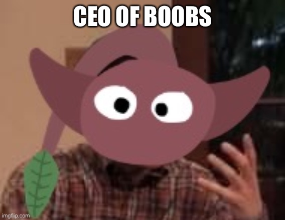 CEO OF BOOBS | made w/ Imgflip meme maker