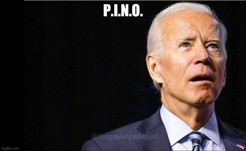 Joe Biden | P.I.N.O. | image tagged in joe biden | made w/ Imgflip meme maker