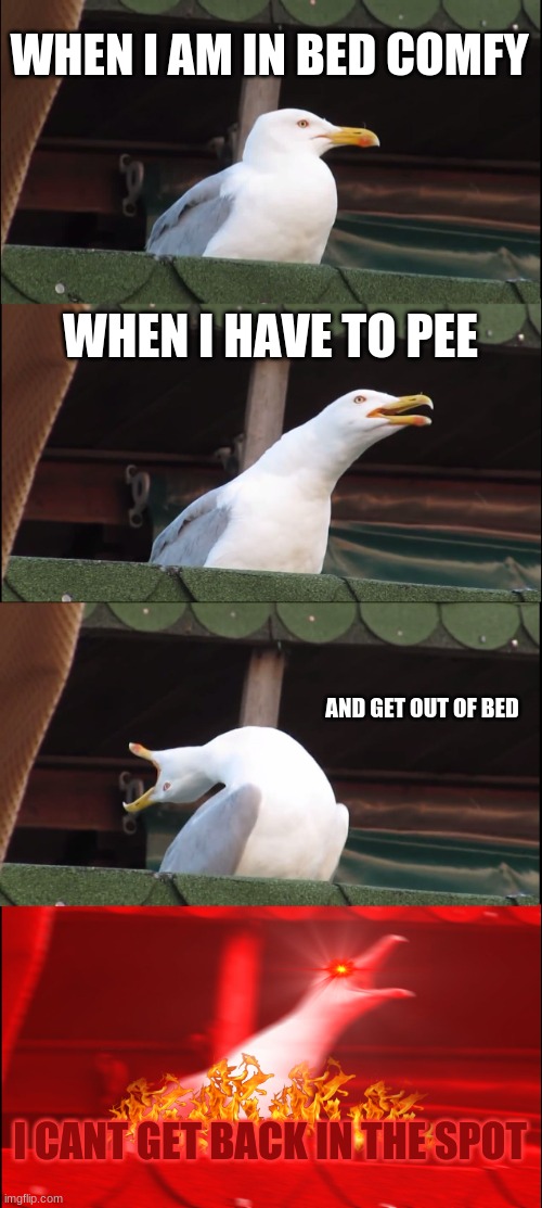 Inhaling Seagull Meme | WHEN I AM IN BED COMFY; WHEN I HAVE TO PEE; AND GET OUT OF BED; I CANT GET BACK IN THE SPOT | image tagged in memes,inhaling seagull | made w/ Imgflip meme maker