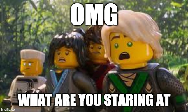 OMG; WHAT ARE YOU STARING AT | image tagged in ninjago,funny memes,lol so funny | made w/ Imgflip meme maker