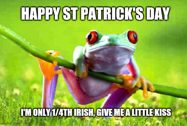 Happy St. Patrick's Day | HAPPY ST PATRICK'S DAY; I'M ONLY 1/4TH IRISH, GIVE ME A LITTLE KISS | image tagged in st patrick's day,frog,kiss me i'm irish,funny,funny memes,geneology | made w/ Imgflip meme maker
