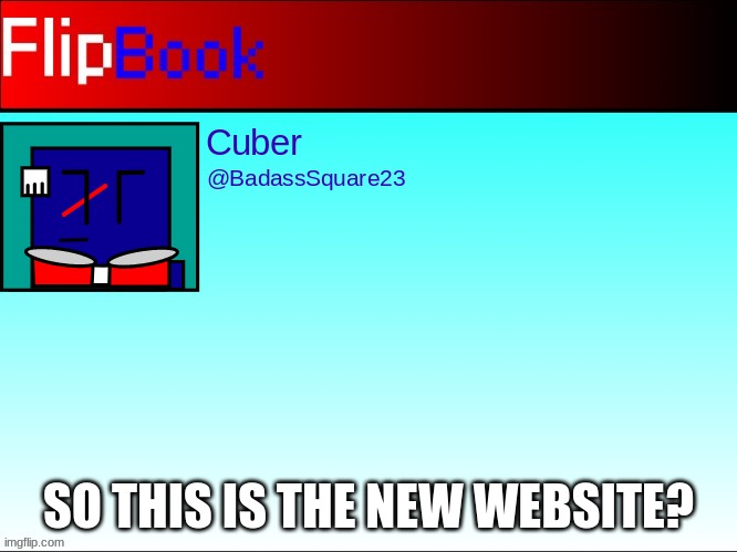 FlipBook profile | SO THIS IS THE NEW WEBSITE? | image tagged in flipbook profile | made w/ Imgflip meme maker