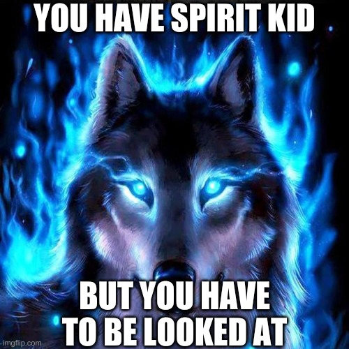 wolf memes | YOU HAVE SPIRIT KID; BUT YOU HAVE TO BE LOOKED AT | image tagged in memes | made w/ Imgflip meme maker