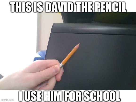 david |  THIS IS DAVID THE PENCIL; I USE HIM FOR SCHOOL | image tagged in david | made w/ Imgflip meme maker