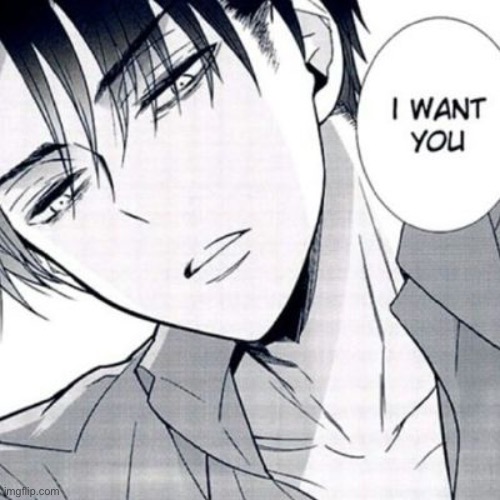 My 6th temp- | image tagged in horny levi | made w/ Imgflip meme maker