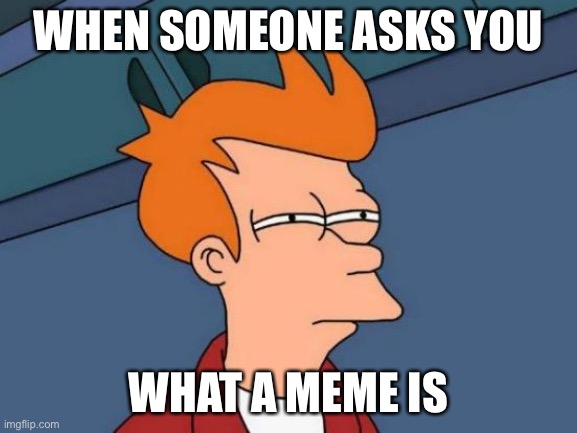 LOL | WHEN SOMEONE ASKS YOU; WHAT A MEME IS | image tagged in memes,futurama fry,funny,meme,humor | made w/ Imgflip meme maker