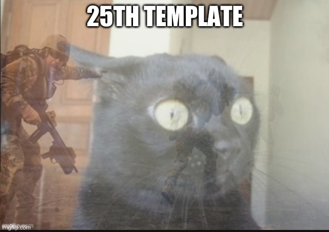 black cat ptsd | 25TH TEMPLATE | image tagged in black cat ptsd | made w/ Imgflip meme maker