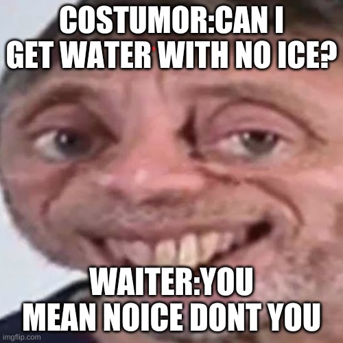 Noice | COSTUMOR:CAN I GET WATER WITH NO ICE? WAITER:YOU MEAN NOICE DONT YOU | image tagged in noice | made w/ Imgflip meme maker