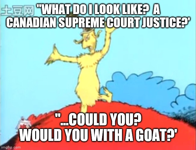 Canadian Supreme Court ruled "You can marry a horse but no penetration". But no banning this book.  Sick! | "WHAT DO I LOOK LIKE?  A CANADIAN SUPREME COURT JUSTICE?'; "...COULD YOU? WOULD YOU WITH A GOAT?' | image tagged in green eggs and ham man,banned,children,books | made w/ Imgflip meme maker