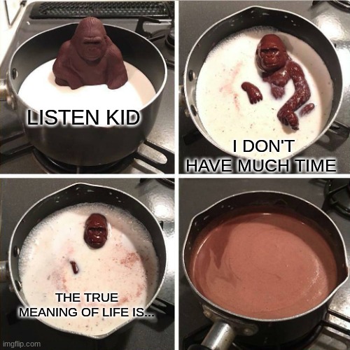 chocolate gorilla | LISTEN KID; I DON'T HAVE MUCH TIME; THE TRUE MEANING OF LIFE IS... | image tagged in chocolate gorilla | made w/ Imgflip meme maker