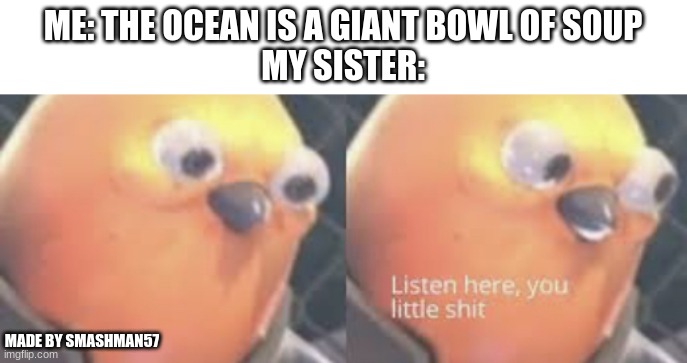 True tho | ME: THE OCEAN IS A GIANT BOWL OF SOUP
MY SISTER:; MADE BY SMASHMAN57 | image tagged in listen here you little shit bird | made w/ Imgflip meme maker