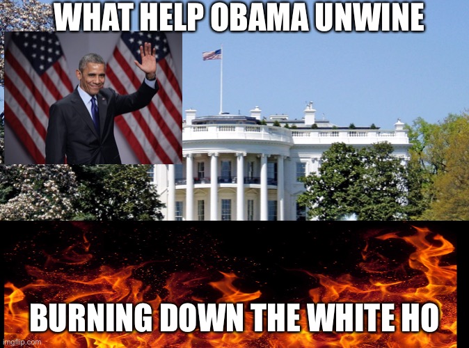 What help Obama | WHAT HELP OBAMA UNWINE; BURNING DOWN THE WHITE HOUSE | image tagged in white house | made w/ Imgflip meme maker
