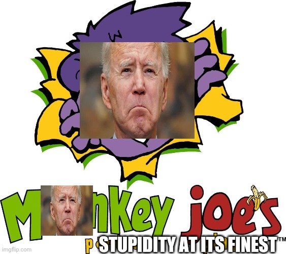 STUPIDITY AT ITS FINEST | image tagged in joe biden,dummy | made w/ Imgflip meme maker