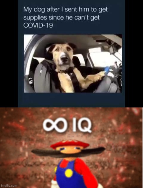 SMORT | image tagged in infinite iq | made w/ Imgflip meme maker