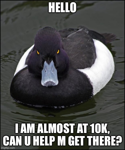 Pls? | HELLO; I AM ALMOST AT 10K, CAN U HELP M GET THERE? | image tagged in angry duck | made w/ Imgflip meme maker