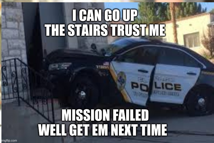 Mission failed well get em next time | I CAN GO UP THE STAIRS TRUST ME; MISSION FAILED WELL GET EM NEXT TIME | image tagged in funny memes | made w/ Imgflip meme maker