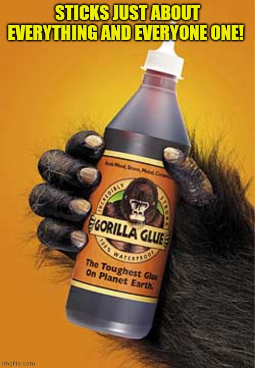 GORILLA GLUE! | STICKS JUST ABOUT EVERYTHING AND EVERYONE ONE! | image tagged in gorilla glue | made w/ Imgflip meme maker