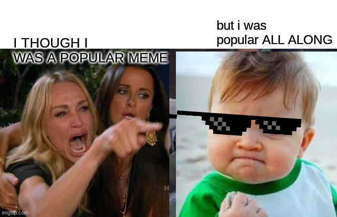 B) Sucsess baby (sorry if i spelled wrong |  but i was popular ALL ALONG; I THOUGH I WAS A POPULAR MEME | image tagged in funny | made w/ Imgflip meme maker