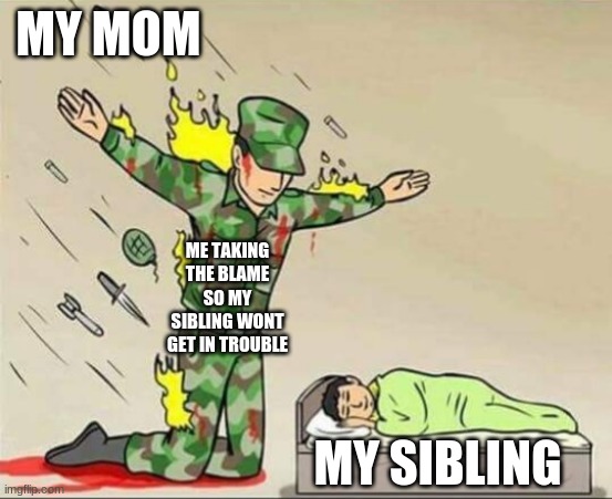 r.i.p | MY MOM; ME TAKING THE BLAME SO MY SIBLING WONT GET IN TROUBLE; MY SIBLING | image tagged in soldier protecting sleeping child | made w/ Imgflip meme maker