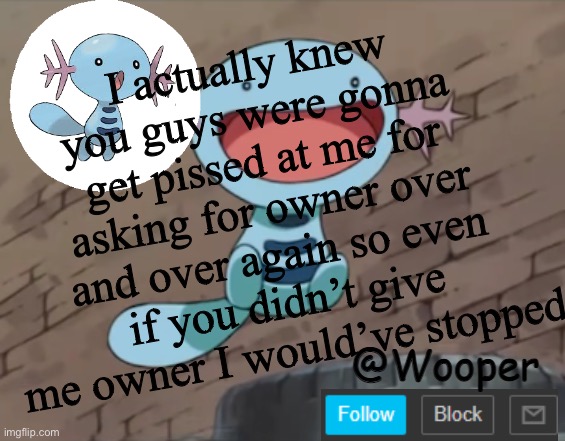 Don’t ask what I did with the text box | I actually knew you guys were gonna get pissed at me for asking for owner over and over again so even if you didn’t give me owner I would’ve stopped | image tagged in wooper template | made w/ Imgflip meme maker
