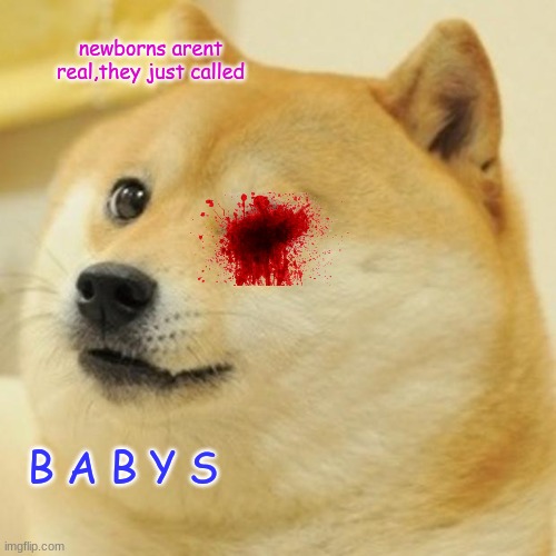 Doge Meme | newborns arent real,they just called B A B Y S | image tagged in memes,doge | made w/ Imgflip meme maker