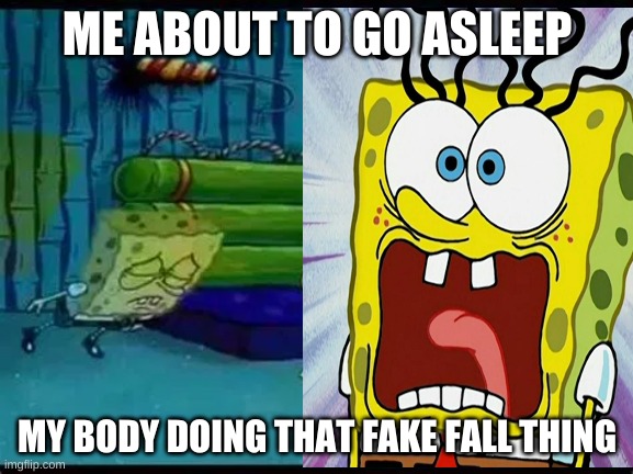 fake fall | ME ABOUT TO GO ASLEEP; MY BODY DOING THAT FAKE FALL THING | image tagged in relatable,memes | made w/ Imgflip meme maker