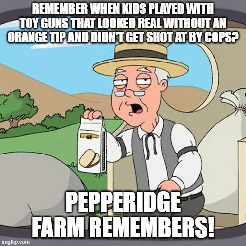 I made a typo error so I had to redo this meme. |  REMEMBER WHEN KIDS PLAYED WITH TOY GUNS THAT LOOKED REAL WITHOUT AN ORANGE TIP AND DIDN'T GET SHOT AT BY COPS? PEPPERIDGE FARM REMEMBERS! | image tagged in memes,pepperidge farm remembers,1950's,kids toys,the good old days | made w/ Imgflip meme maker